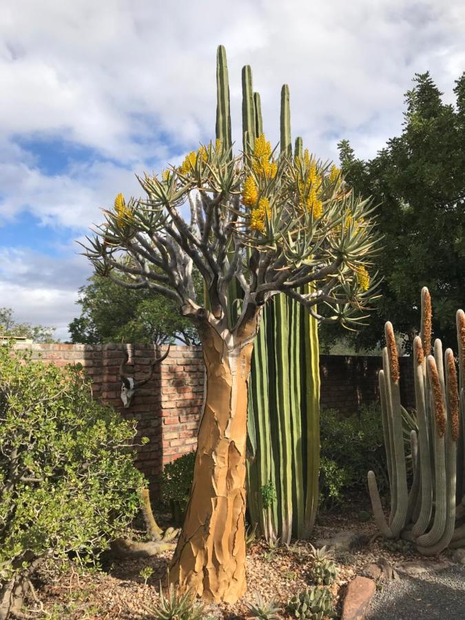 Pane Vivente Garden Cottage Beaufort West Bagian luar foto