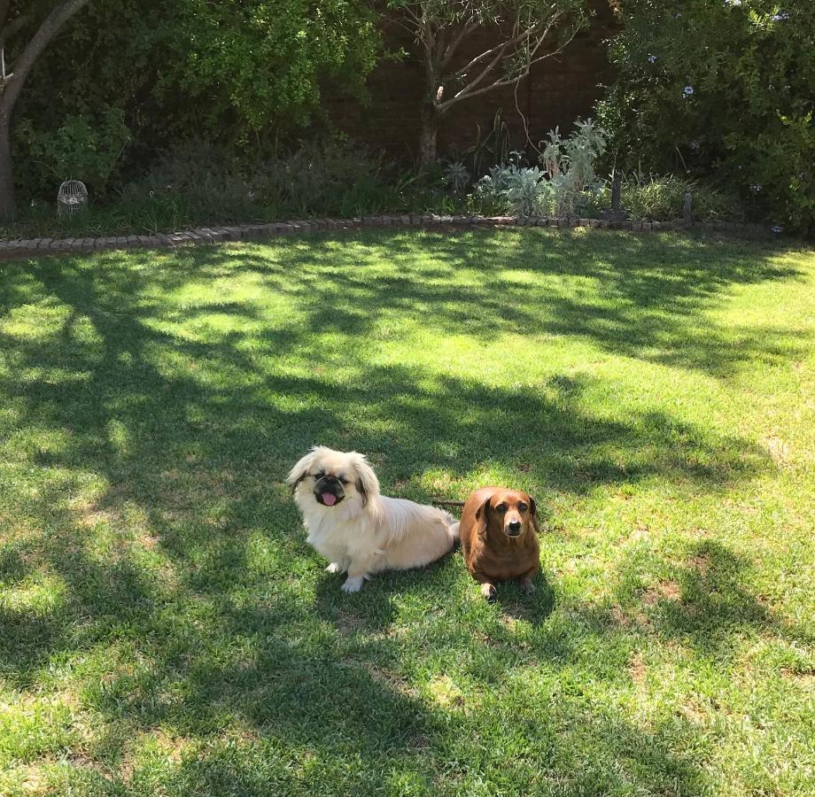 Pane Vivente Garden Cottage Beaufort West Bagian luar foto