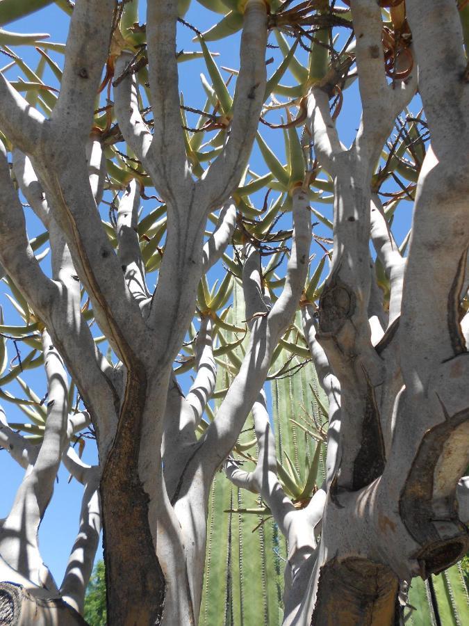 Pane Vivente Garden Cottage Beaufort West Bagian luar foto