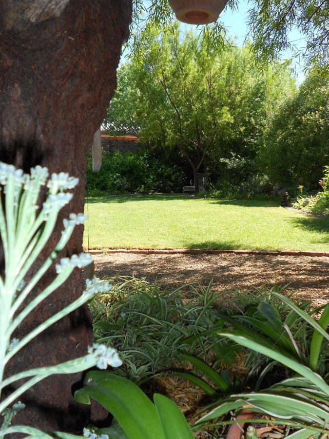 Pane Vivente Garden Cottage Beaufort West Bagian luar foto