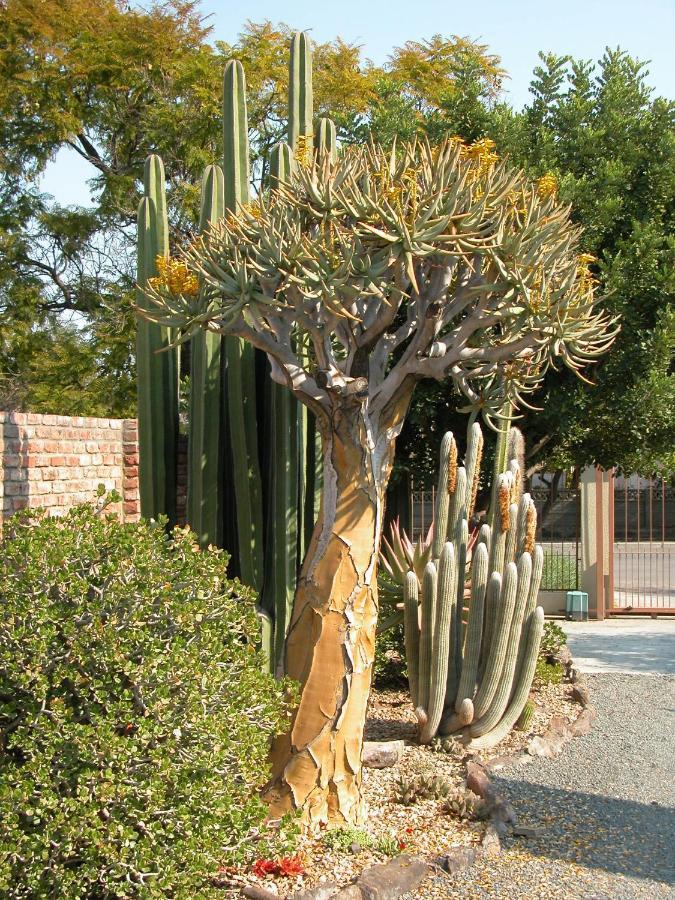 Pane Vivente Garden Cottage Beaufort West Bagian luar foto