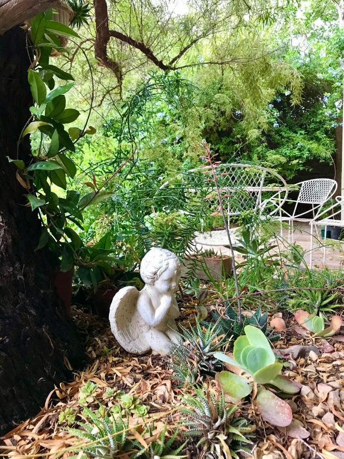 Pane Vivente Garden Cottage Beaufort West Bagian luar foto