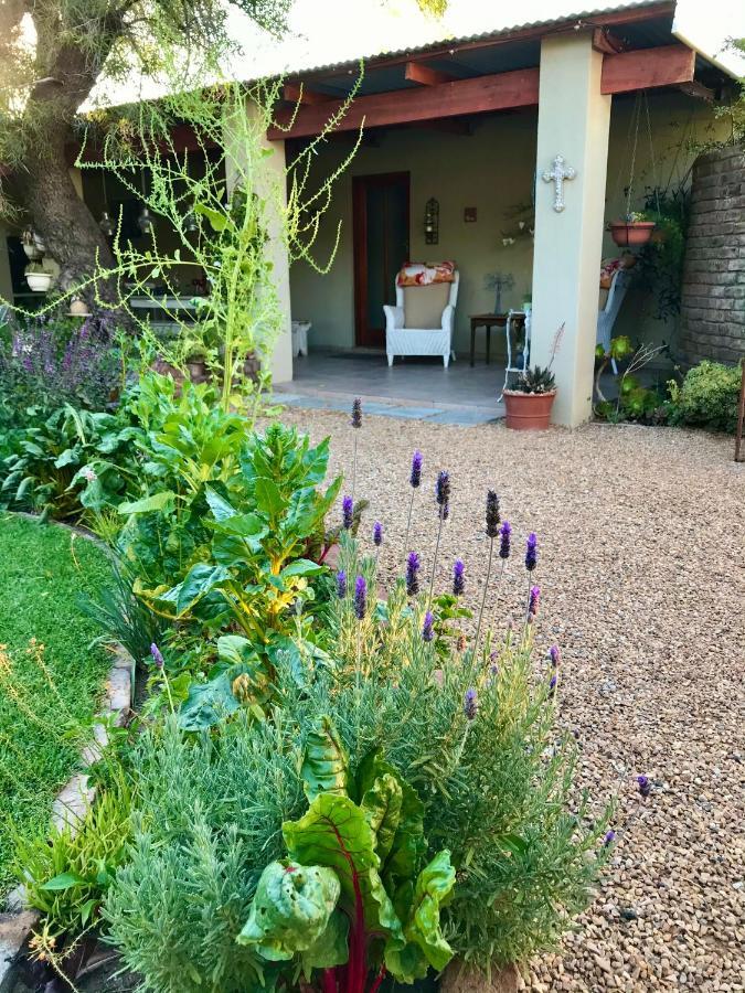 Pane Vivente Garden Cottage Beaufort West Bagian luar foto